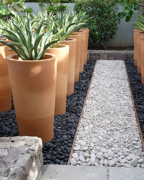 POT CYCAS FIN POT CYCAS FIN