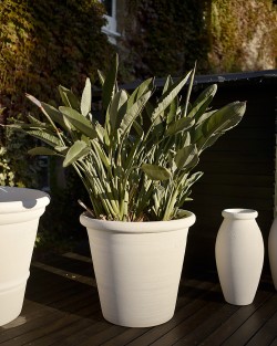 VASE JASMIN