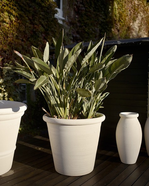 VASE JASMIN
