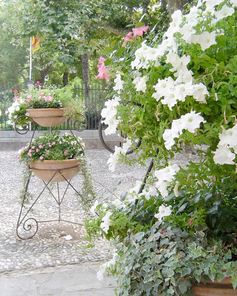Vasque Pétunia Vasque Pétunia
