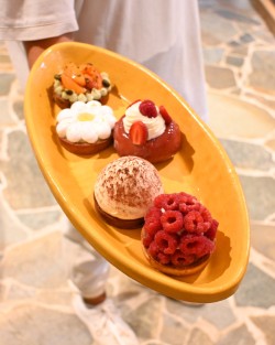 La Vaisselle Réfractaire