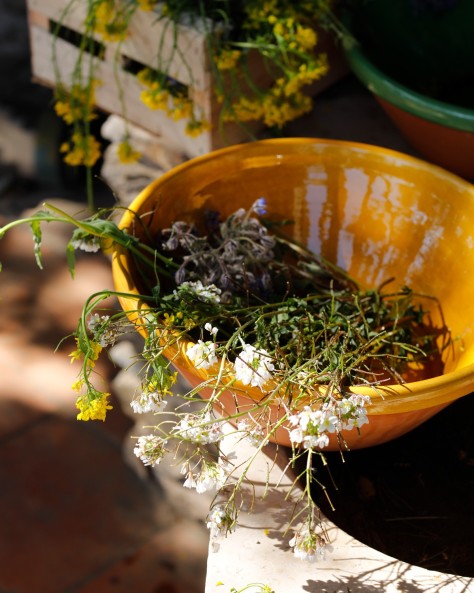 Dishes Tian Or Conque