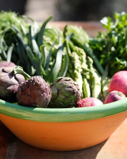 Dishes Tian Or Conque