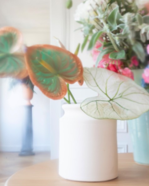 LES VASES À BOUQUET