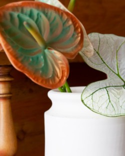 LES VASES À BOUQUET