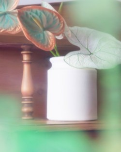 LES VASES À BOUQUET