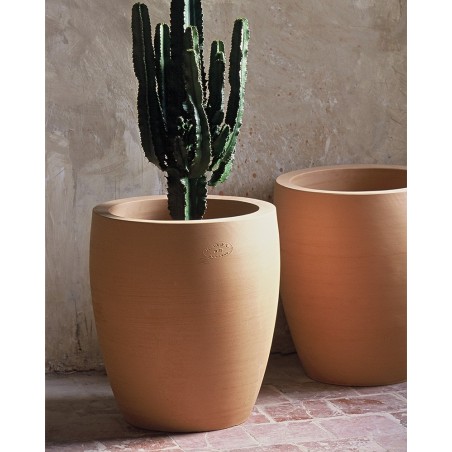 POT CACTUS POT CACTUS