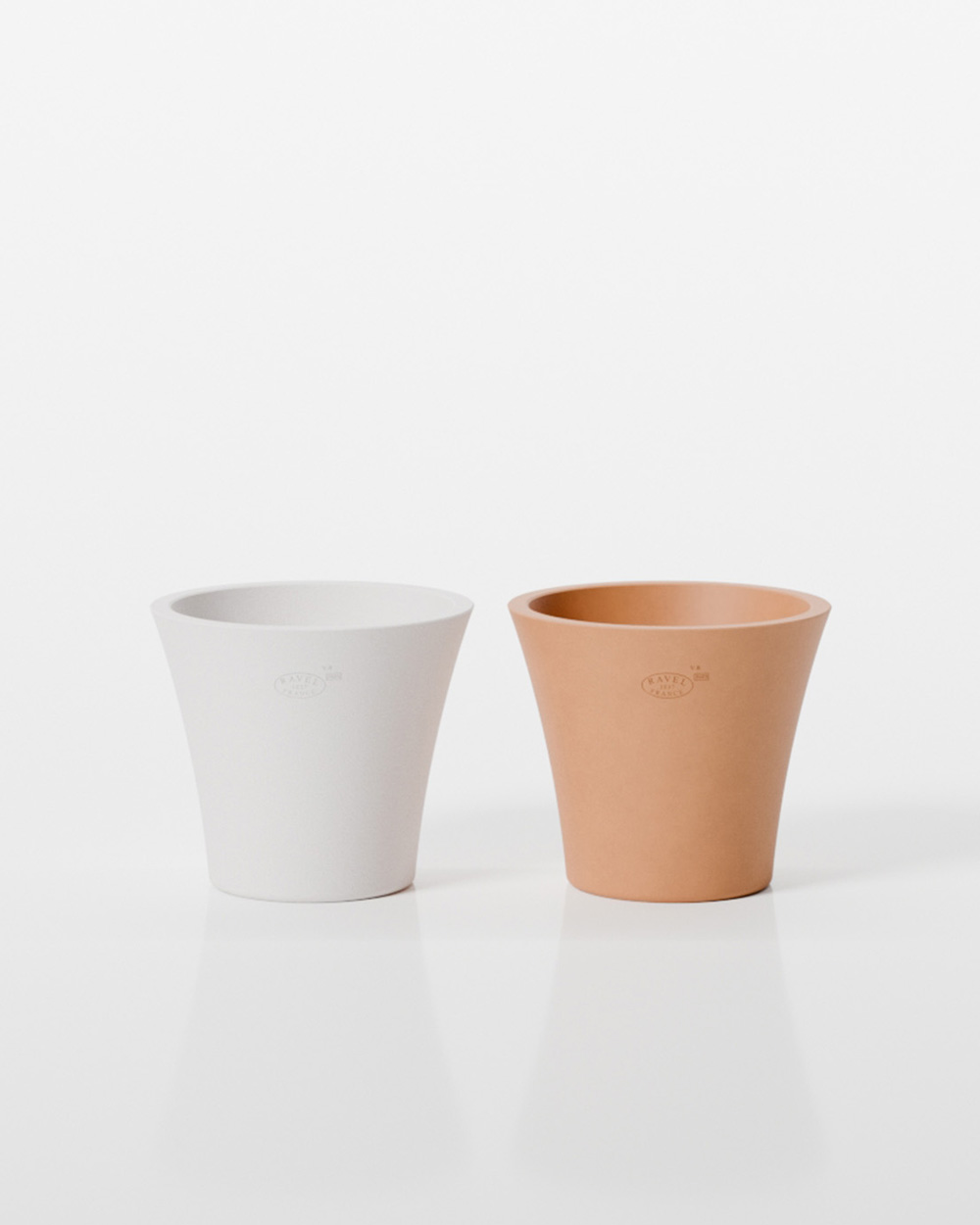 VASE ALOES