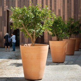 What size of pot should you choose for an exceptional arrangement?