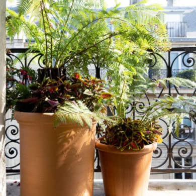 Balcons et Terrasses